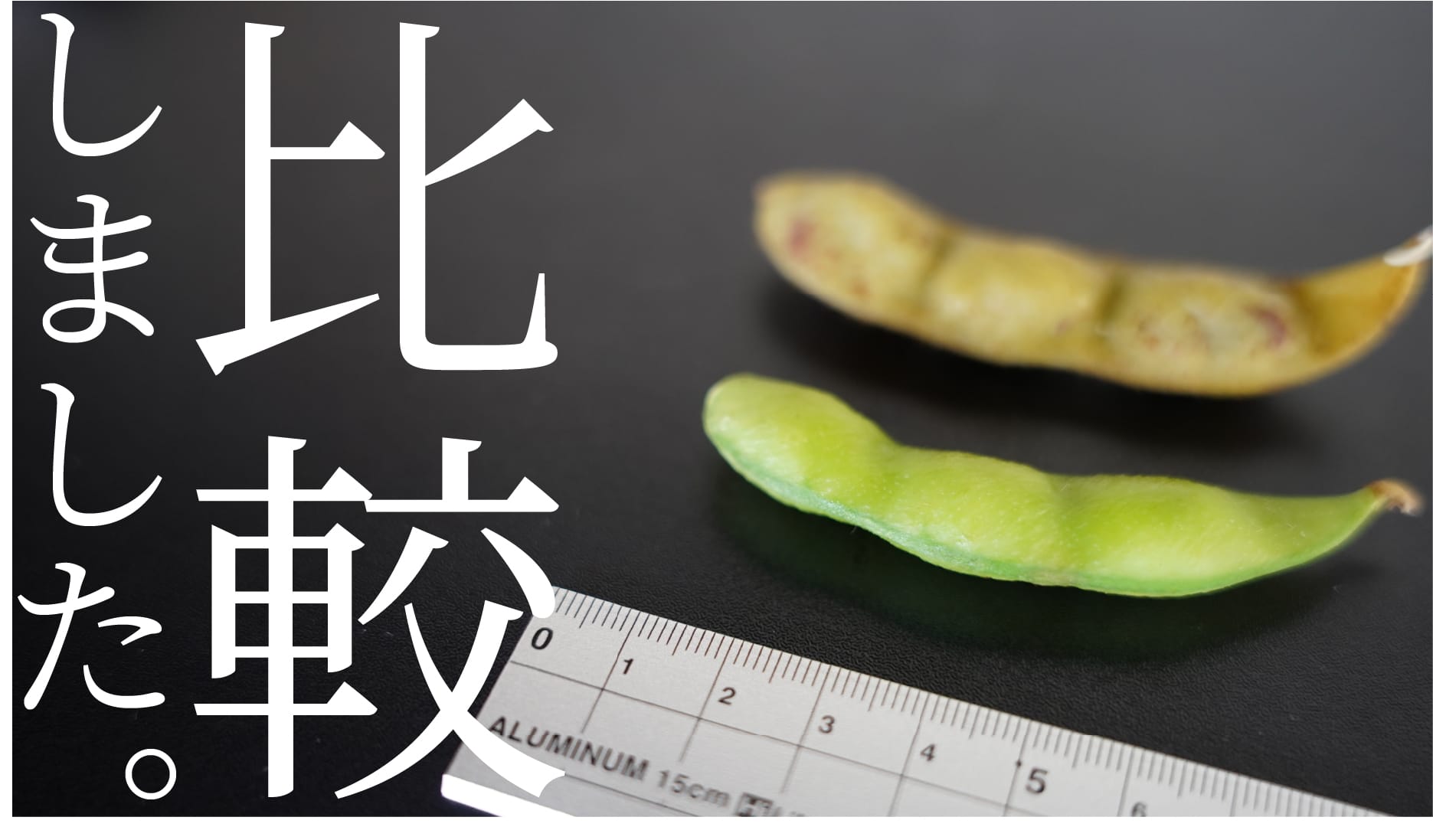 一目瞭然!「黒枝豆」と「普通の枝豆」の違いをご覧あれ! | 株式会社いなかの窓|丹波篠山市のホームページ制作会社